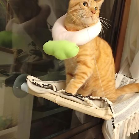 Holibai, Andurina, Piso Vintage, Centrico, Acepta Mascotas, Baiona Διαμέρισμα Εξωτερικό φωτογραφία