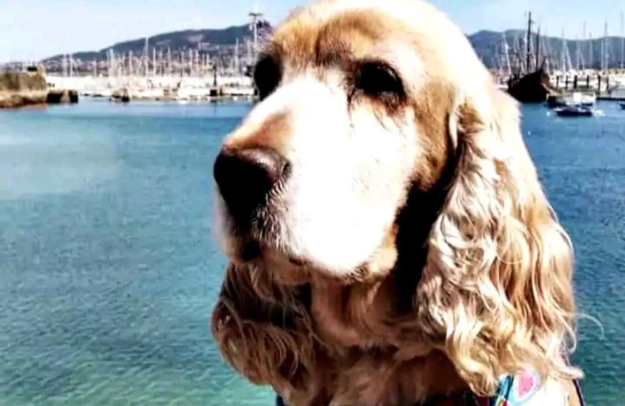 Holibai, Andurina, Piso Vintage, Centrico, Acepta Mascotas, Baiona Διαμέρισμα Εξωτερικό φωτογραφία